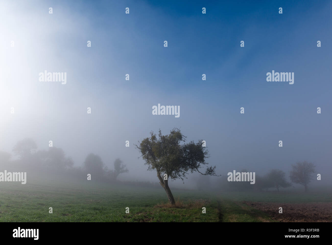 High fog fino alle colline e nelle valli vicino Irsch, città di Saarburg, Renania-Palatinato, Germania Foto Stock