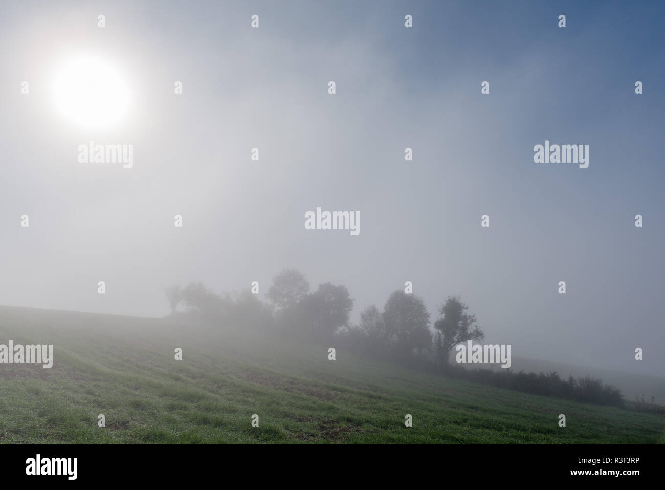 High fog fino alle colline e nelle valli vicino Irsch, città di Saarburg, Renania-Palatinato, Germania Foto Stock