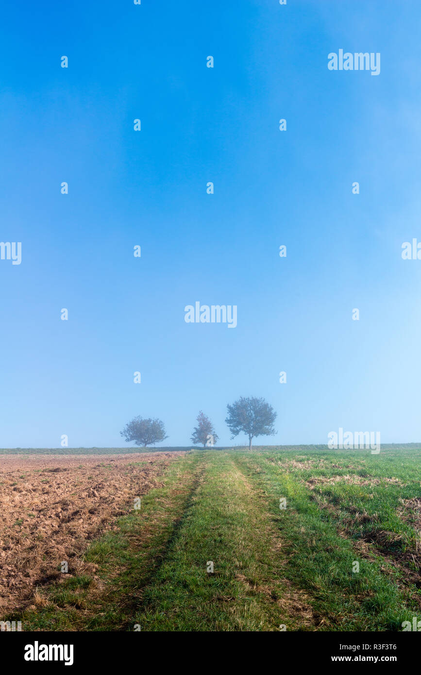 High fog fino alle colline e nelle valli vicino Irsch, città di Saarburg, Renania-Palatinato, Germania Foto Stock