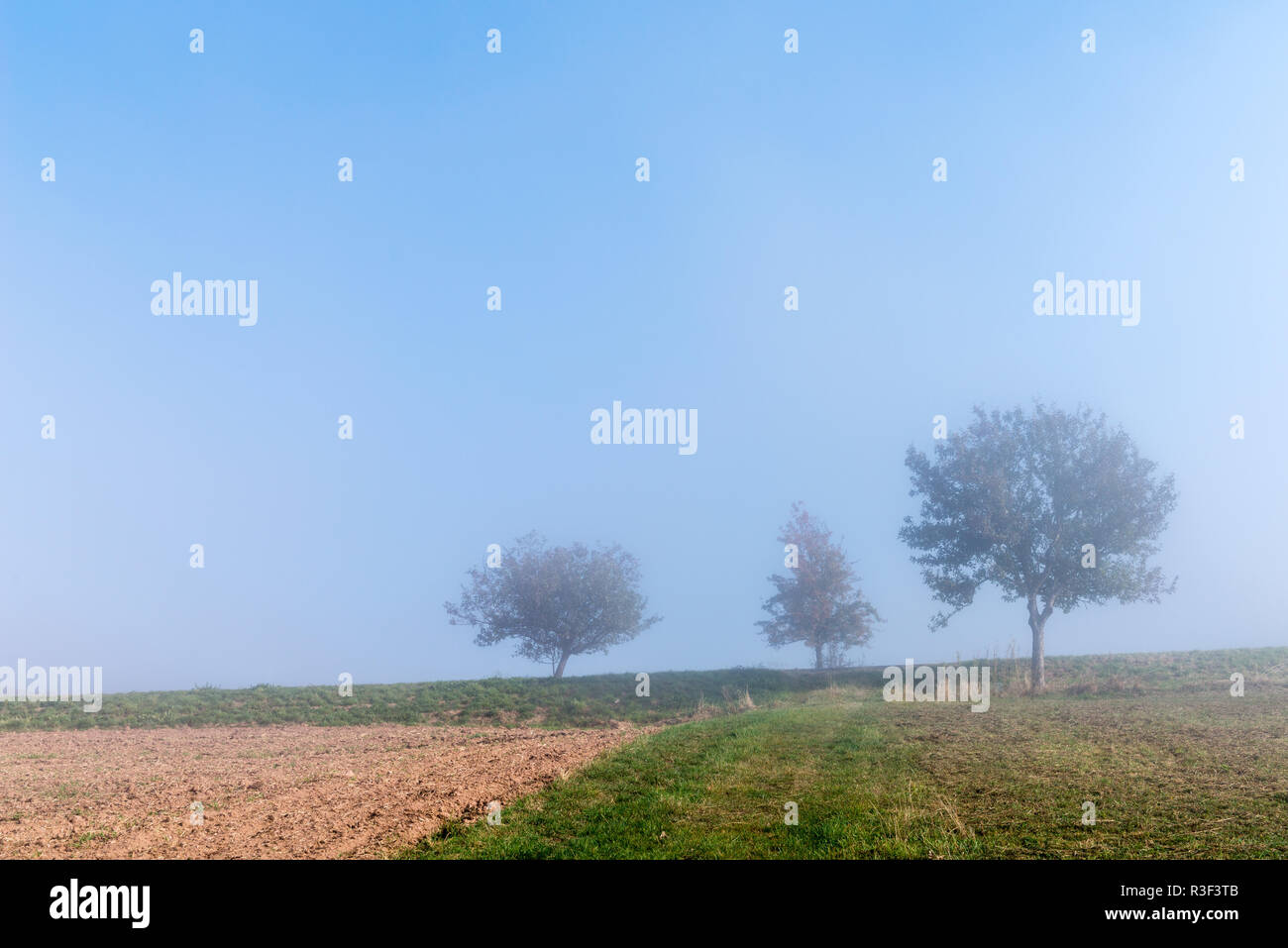 High fog fino alle colline e nelle valli vicino Irsch, città di Saarburg, Renania-Palatinato, Germania Foto Stock