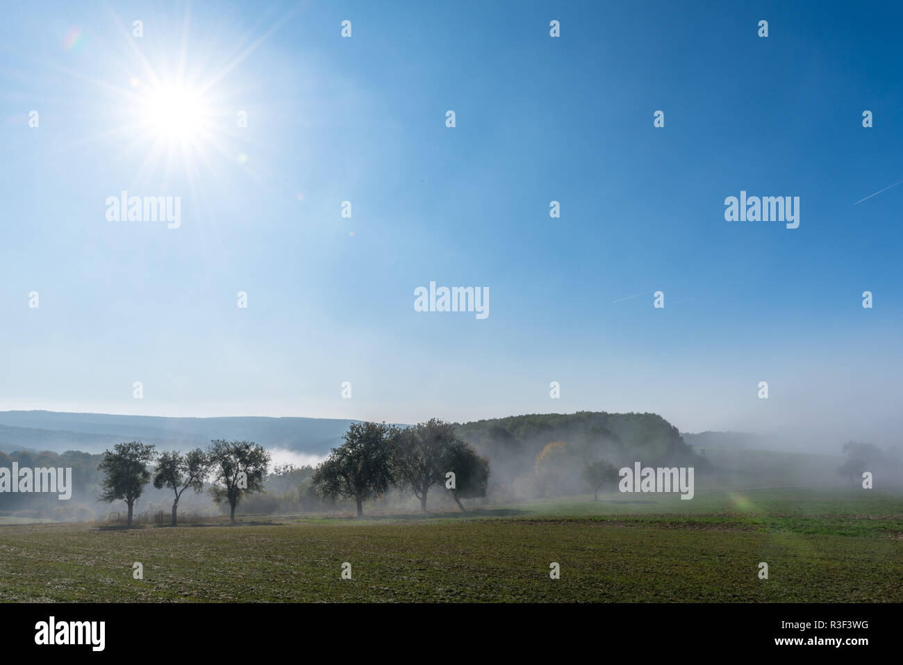 High fog fino alle colline e nelle valli vicino Irsch, città di Saarburg, Renania-Palatinato, Germania Foto Stock