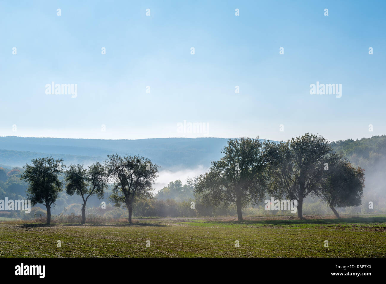 High fog fino alle colline e nelle valli vicino Irsch, città di Saarburg, Renania-Palatinato, Germania Foto Stock