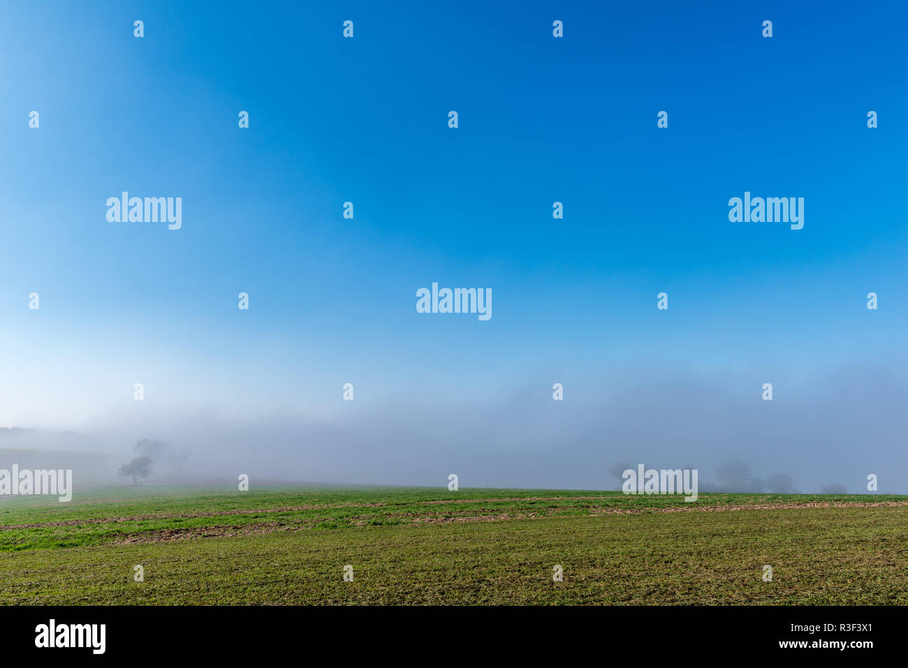 High fog fino alle colline e nelle valli vicino Irsch, città di Saarburg, Renania-Palatinato, Germania Foto Stock