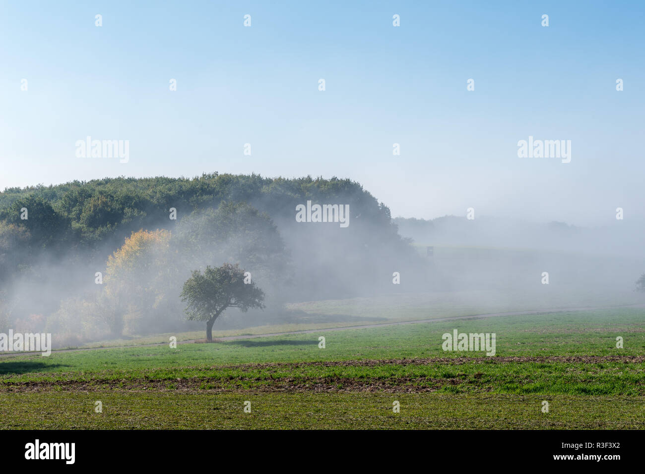High fog fino alle colline e nelle valli vicino Irsch, città di Saarburg, Renania-Palatinato, Germania Foto Stock