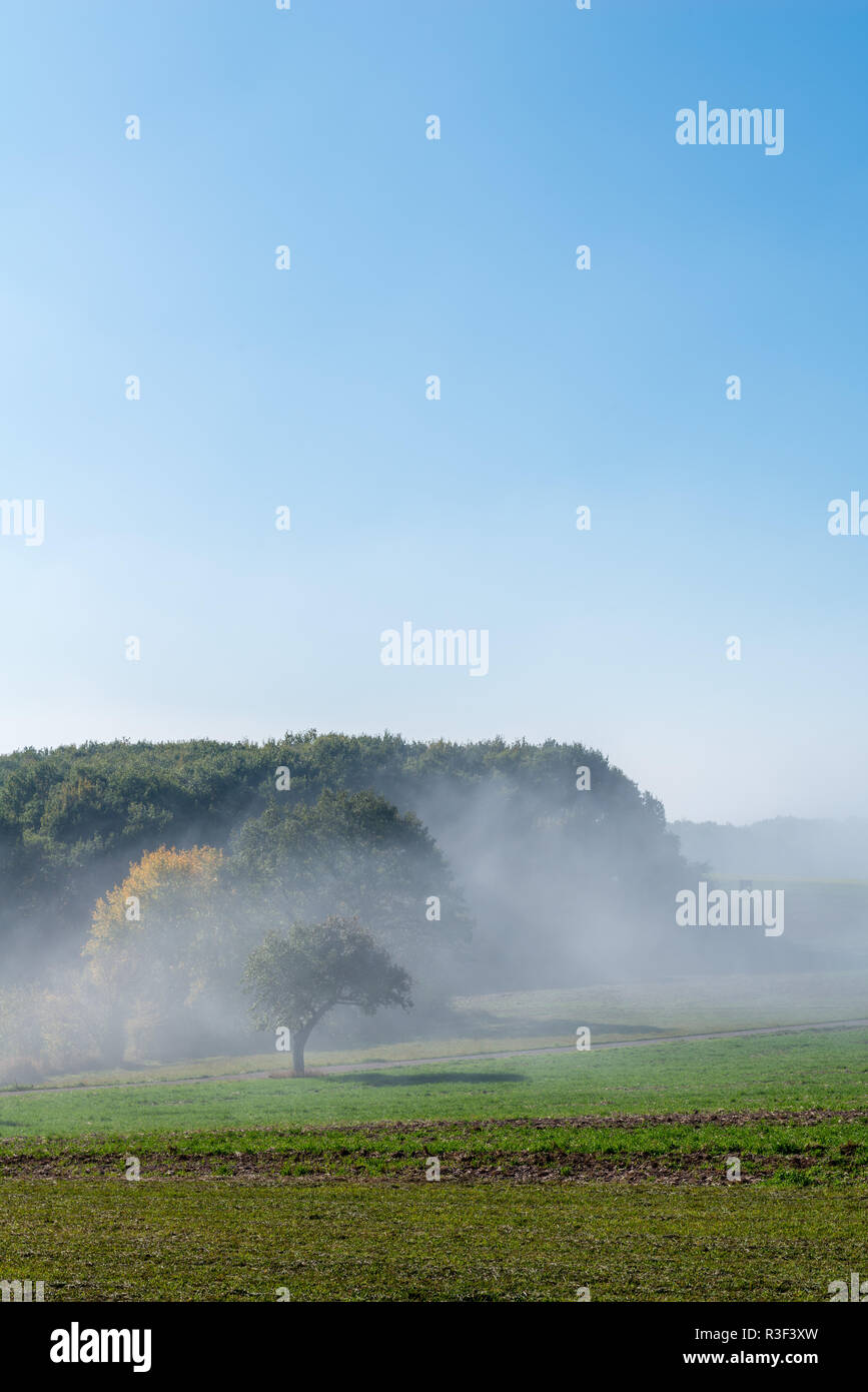 High fog fino alle colline e nelle valli vicino Irsch, città di Saarburg, Renania-Palatinato, Germania Foto Stock