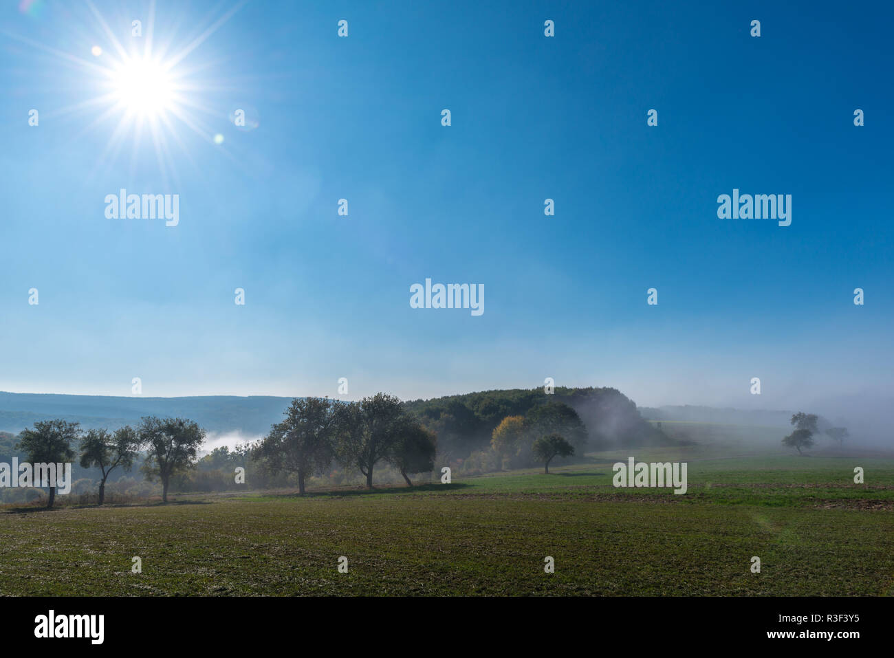 High fog fino alle colline e nelle valli vicino Irsch, città di Saarburg, Renania-Palatinato, Germania Foto Stock