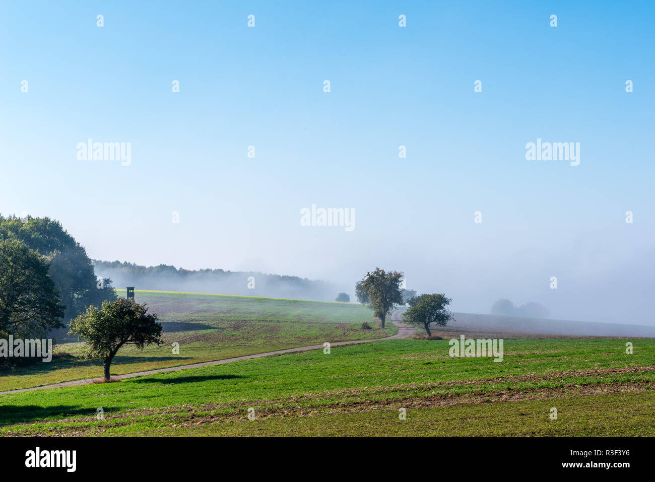 High fog fino alle colline e nelle valli vicino Irsch, città di Saarburg, Renania-Palatinato, Germania Foto Stock