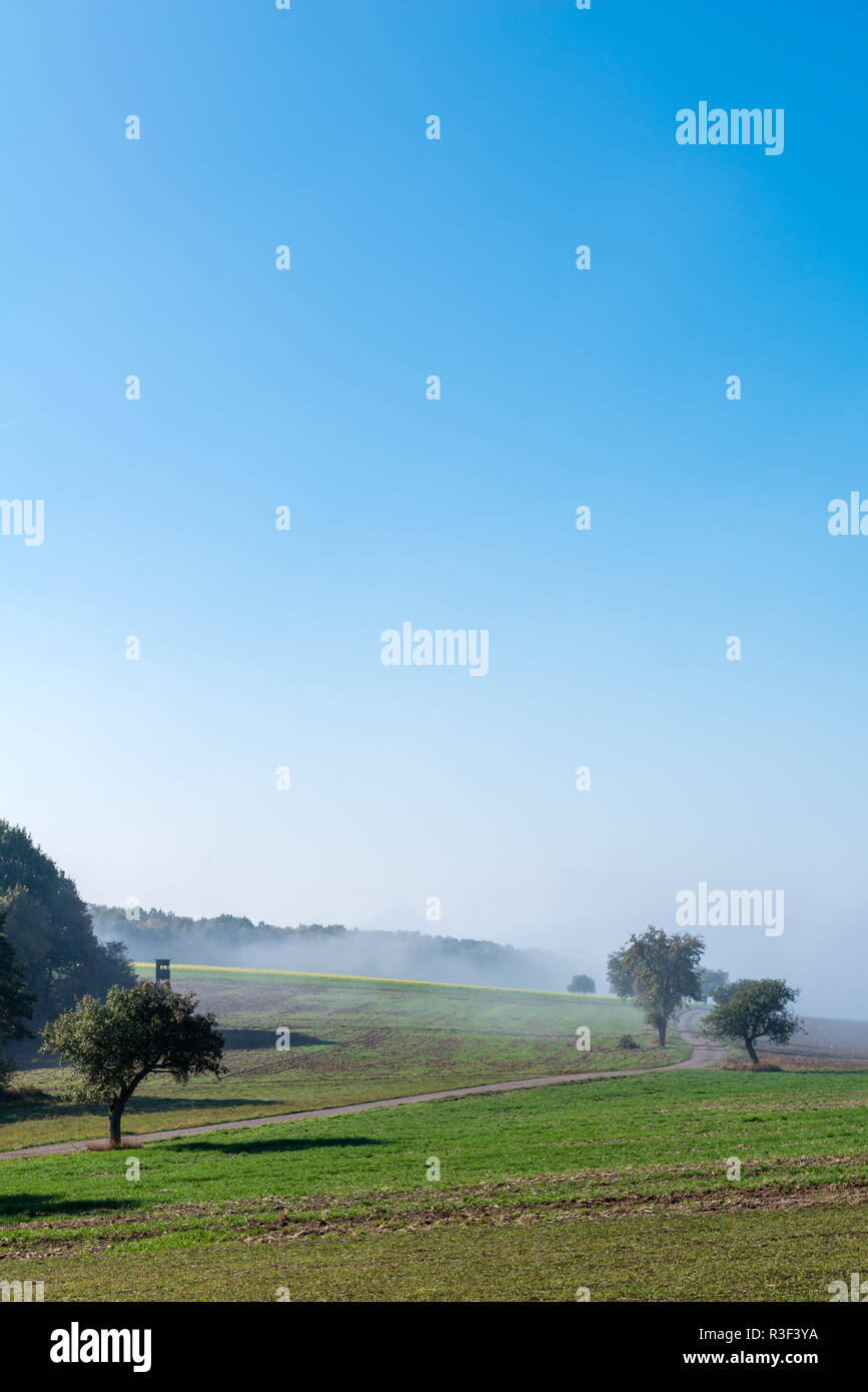 High fog fino alle colline e nelle valli vicino Irsch, città di Saarburg, Renania-Palatinato, Germania Foto Stock