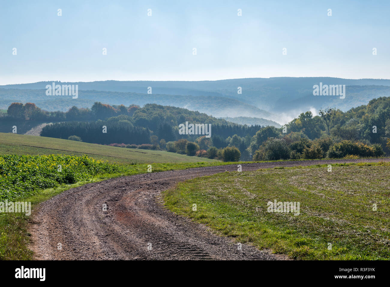 High fog fino alle colline e nelle valli vicino Irsch, città di Saarburg, Renania-Palatinato, Germania Foto Stock