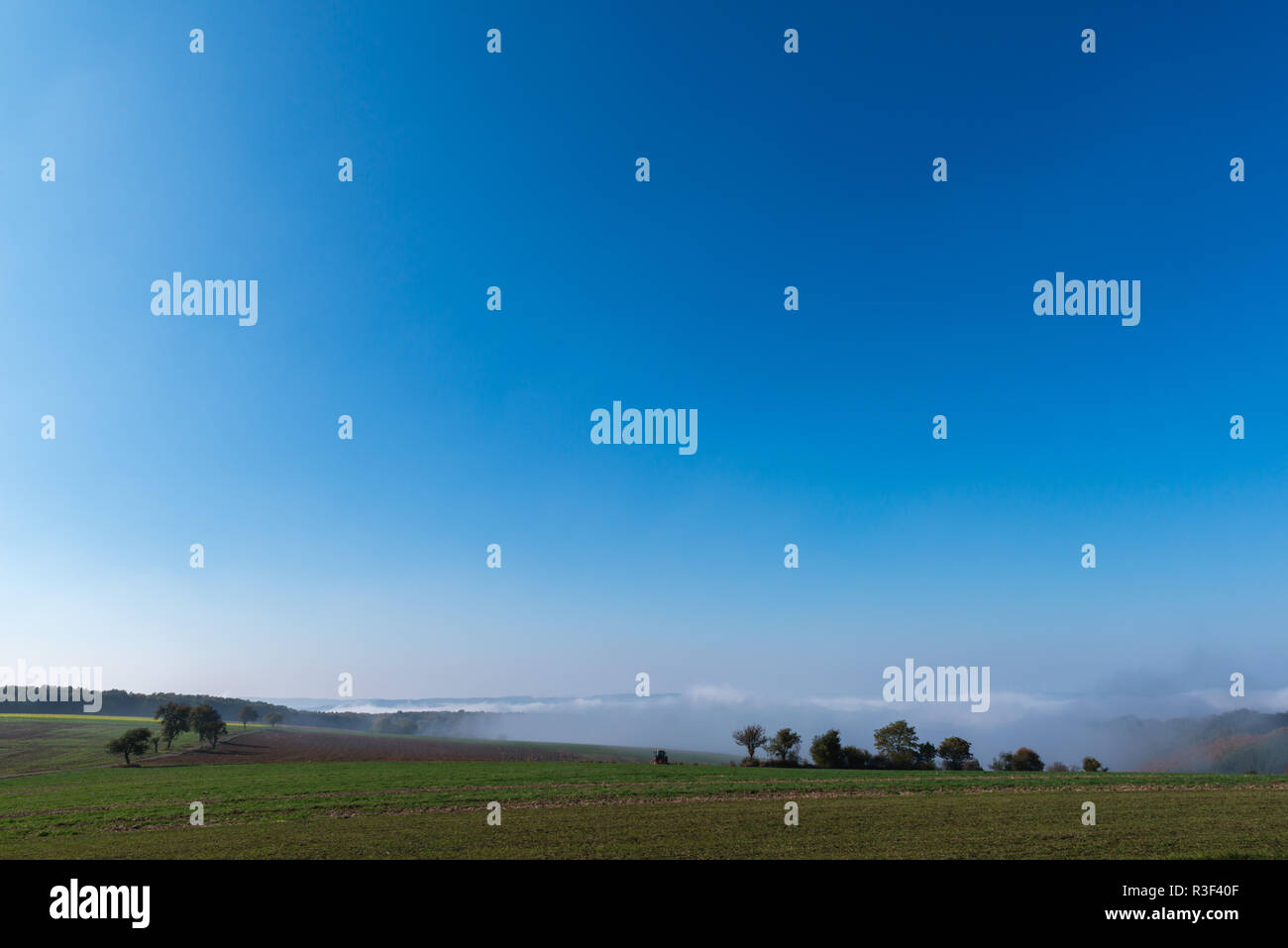 High fog fino alle colline e nelle valli vicino Irsch, città di Saarburg, Renania-Palatinato, Germania Foto Stock