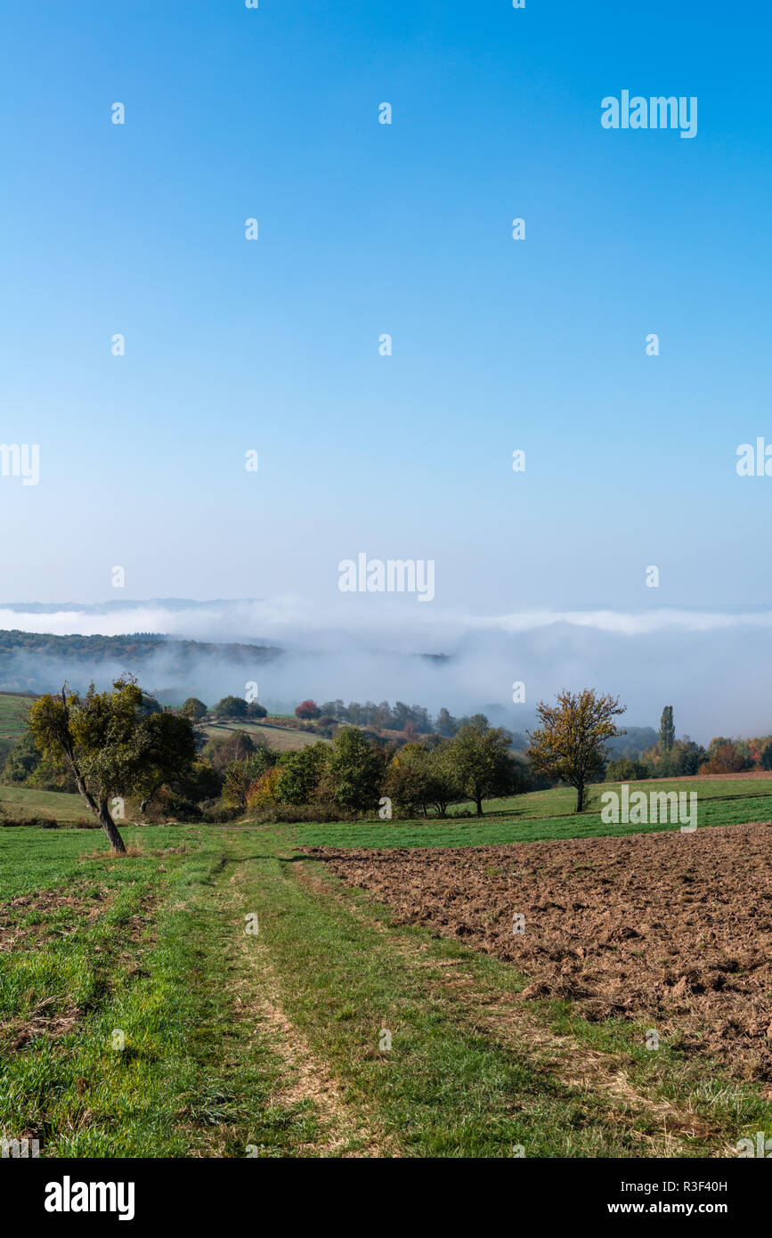 High fog fino alle colline e nelle valli vicino Irsch, città di Saarburg, Renania-Palatinato, Germania Foto Stock