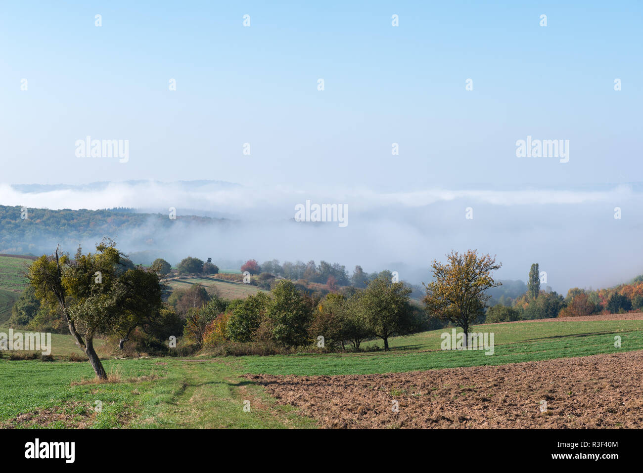 High fog fino alle colline e nelle valli vicino Irsch, città di Saarburg, Renania-Palatinato, Germania Foto Stock