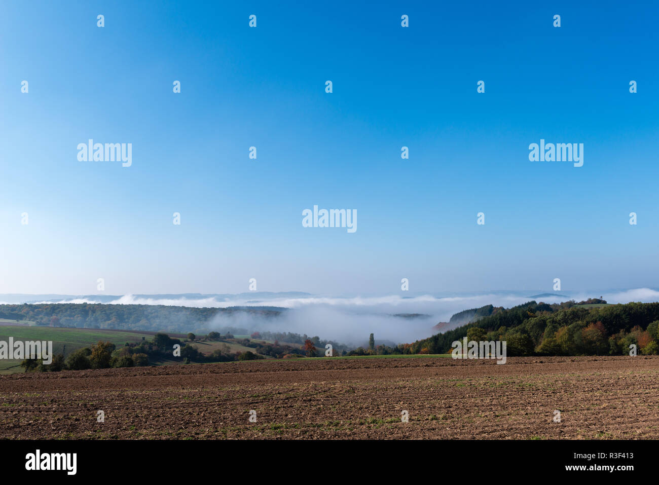 High fog fino alle colline e nelle valli vicino Irsch, città di Saarburg, Renania-Palatinato, Germania Foto Stock