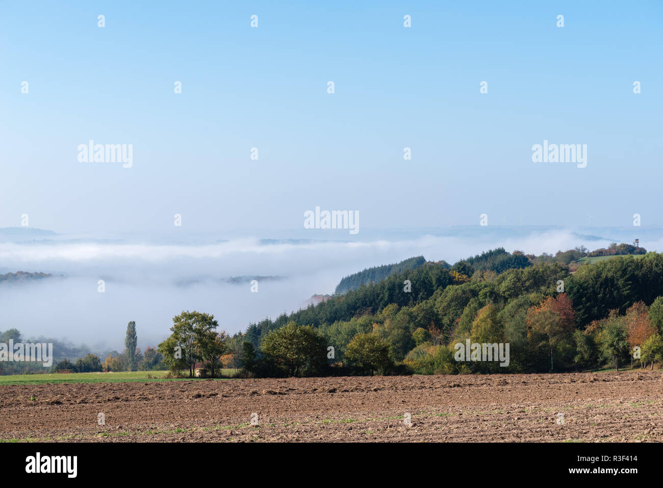 High fog fino alle colline e nelle valli vicino Irsch, città di Saarburg, Renania-Palatinato, Germania Foto Stock