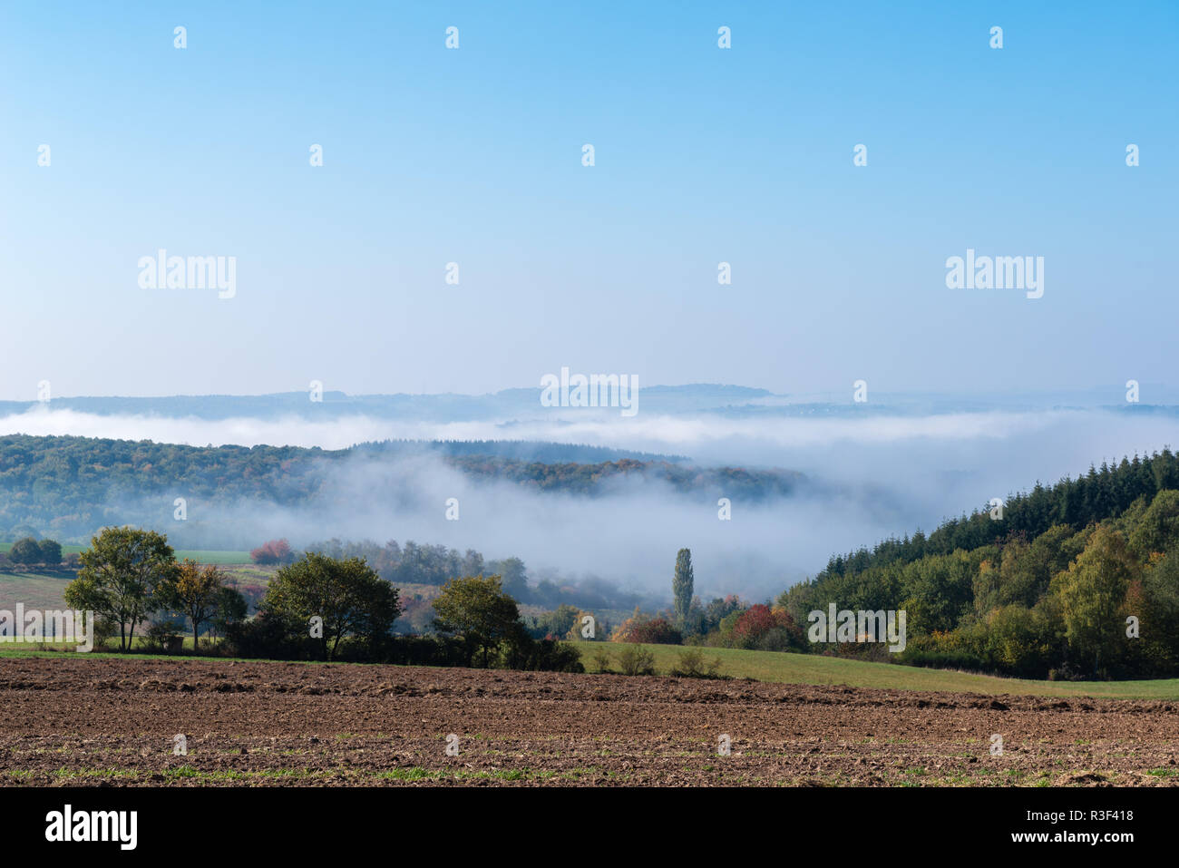 High fog fino alle colline e nelle valli vicino Irsch, città di Saarburg, Renania-Palatinato, Germania Foto Stock