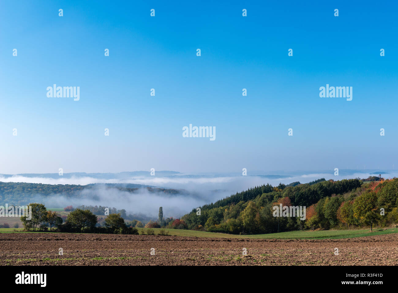 High fog fino alle colline e nelle valli vicino Irsch, città di Saarburg, Renania-Palatinato, Germania Foto Stock