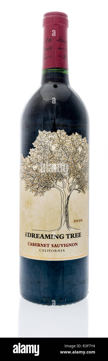 Winneconne, WI - 21 Novembre 2018: una bottiglia di The Dreaming Tree vino della California isolato su un background. Foto Stock