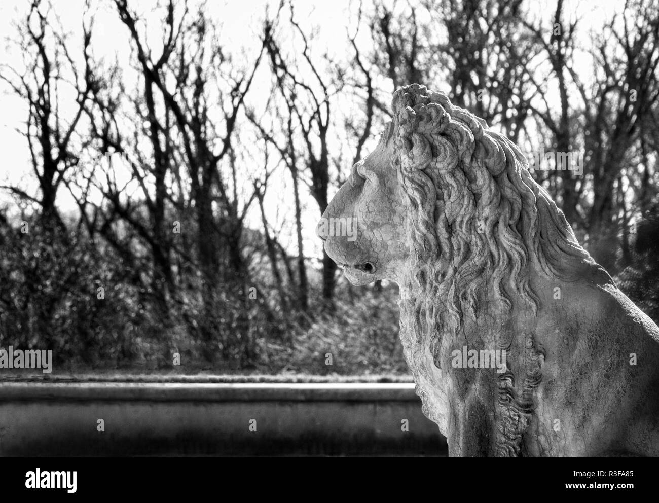 La protezione lion statua in profilo, con inverno alberi in background, al Biltmore Estate in Asheville, NC, Stati Uniti d'America Foto Stock