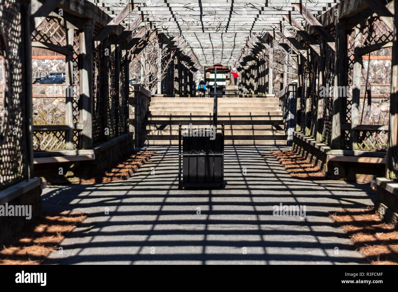 L'uva arbor in inverno crea ombre geometriche al Biltmore Estate in Asheville, NC, Stati Uniti d'America Foto Stock