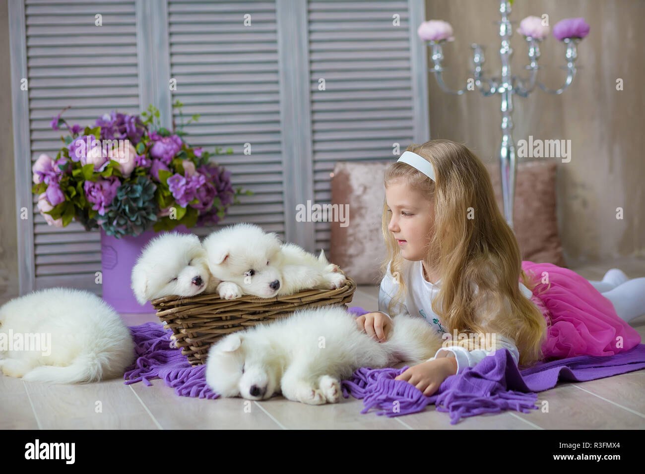 Ragazza bionda in posa con husky cucciolo di colore bianco nel retro studio shoot. Carino giovane bambino gioca con cucciolo cani in progettati home decorazioni Foto Stock