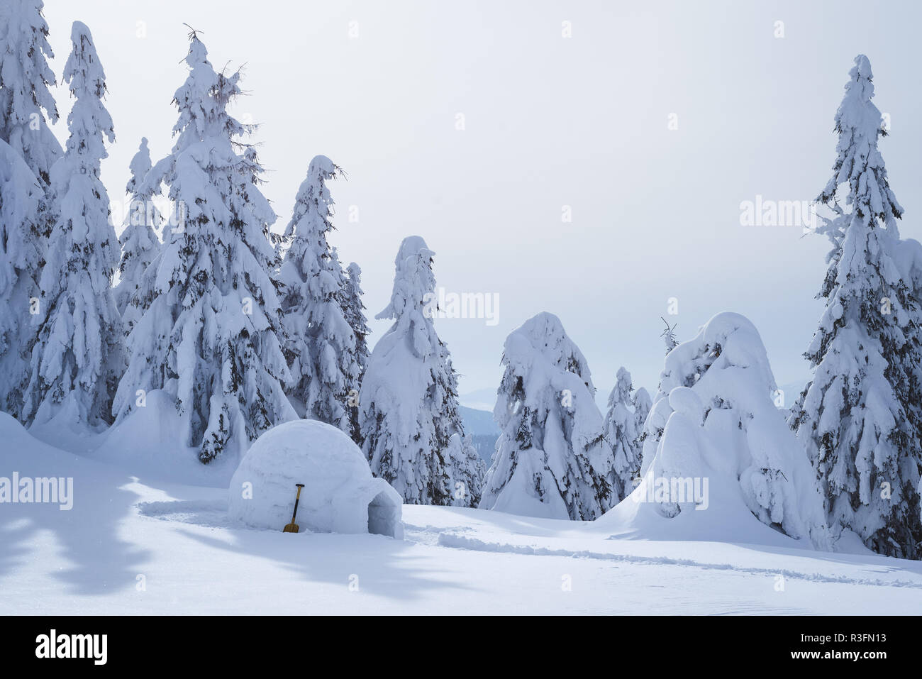 Snowy eschimese igloo in inverno foresta. Paesaggio con un riparo per i turisti. Vista pittoresca con cumuli di neve e alberi nella neve Foto Stock