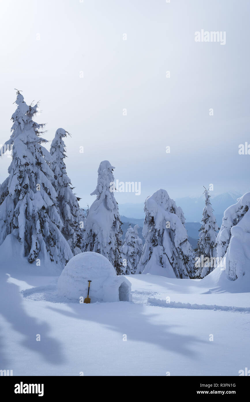 Scena invernale con un eschimese igloo. Vista stupefacente con cumuli di neve e abeti nella neve Foto Stock