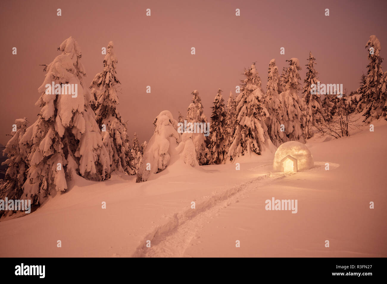 Notte paesaggio invernale con eschimese igloo. La foresta di abete rosso nella neve Foto Stock