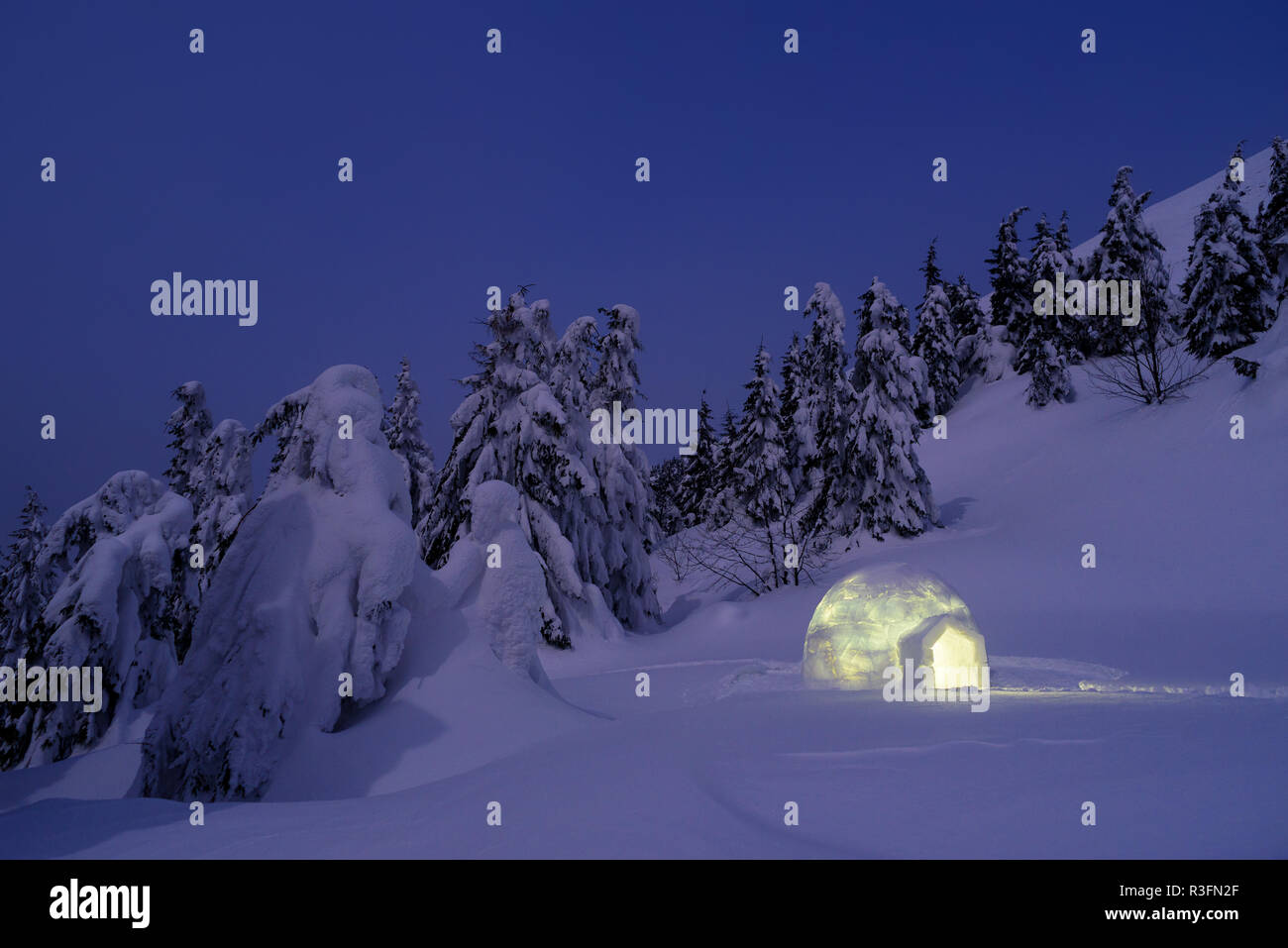 Notte paesaggio invernale con igloo. Lo splendido paesaggio con cumuli di neve e alberi nella neve Foto Stock