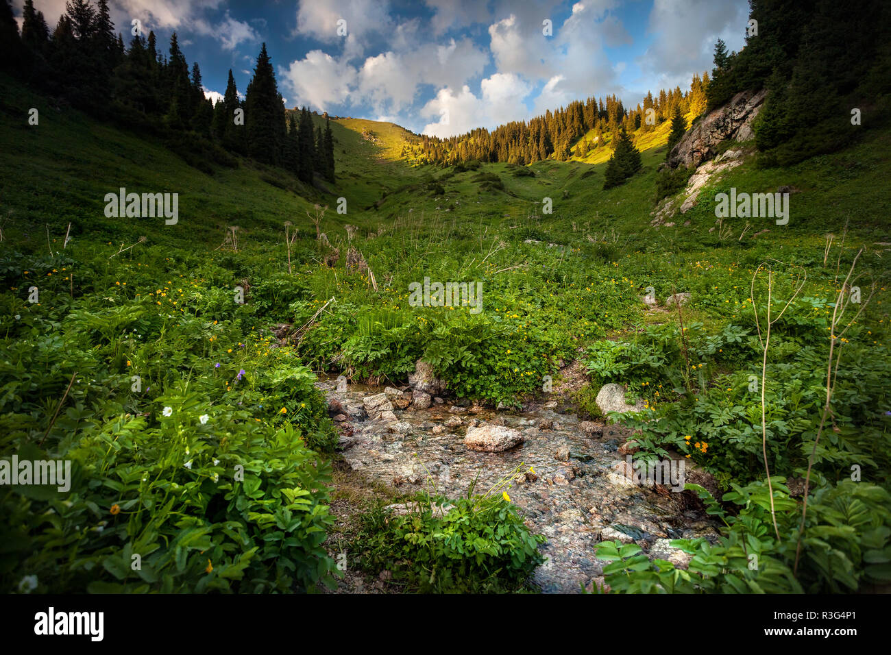 Acqua pulita primavera in montagna a sunrise cielo nuvoloso Kok Zhailau, Kazakistan, Asia centrale Foto Stock