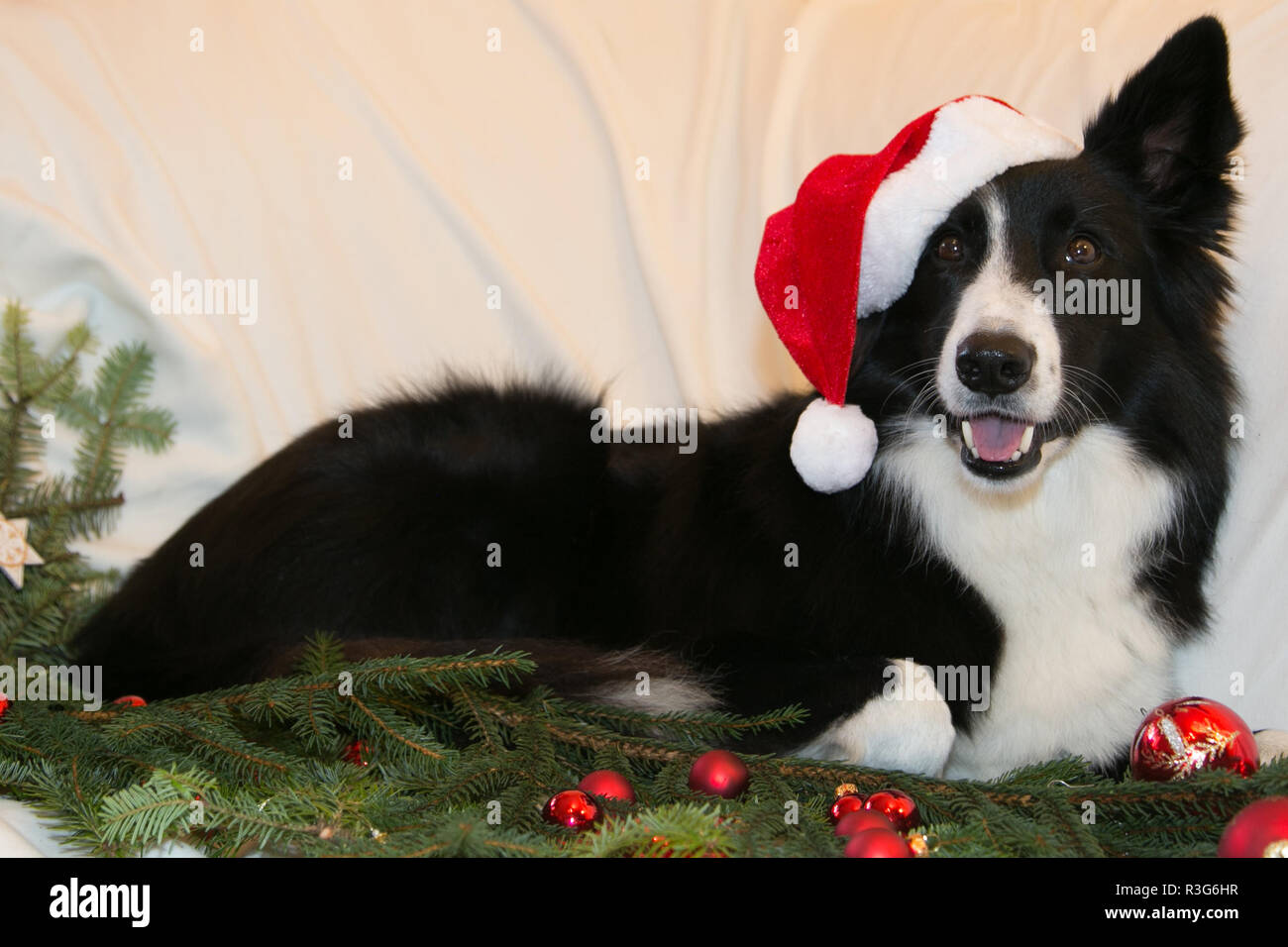 Auguri di Natale Foto Stock