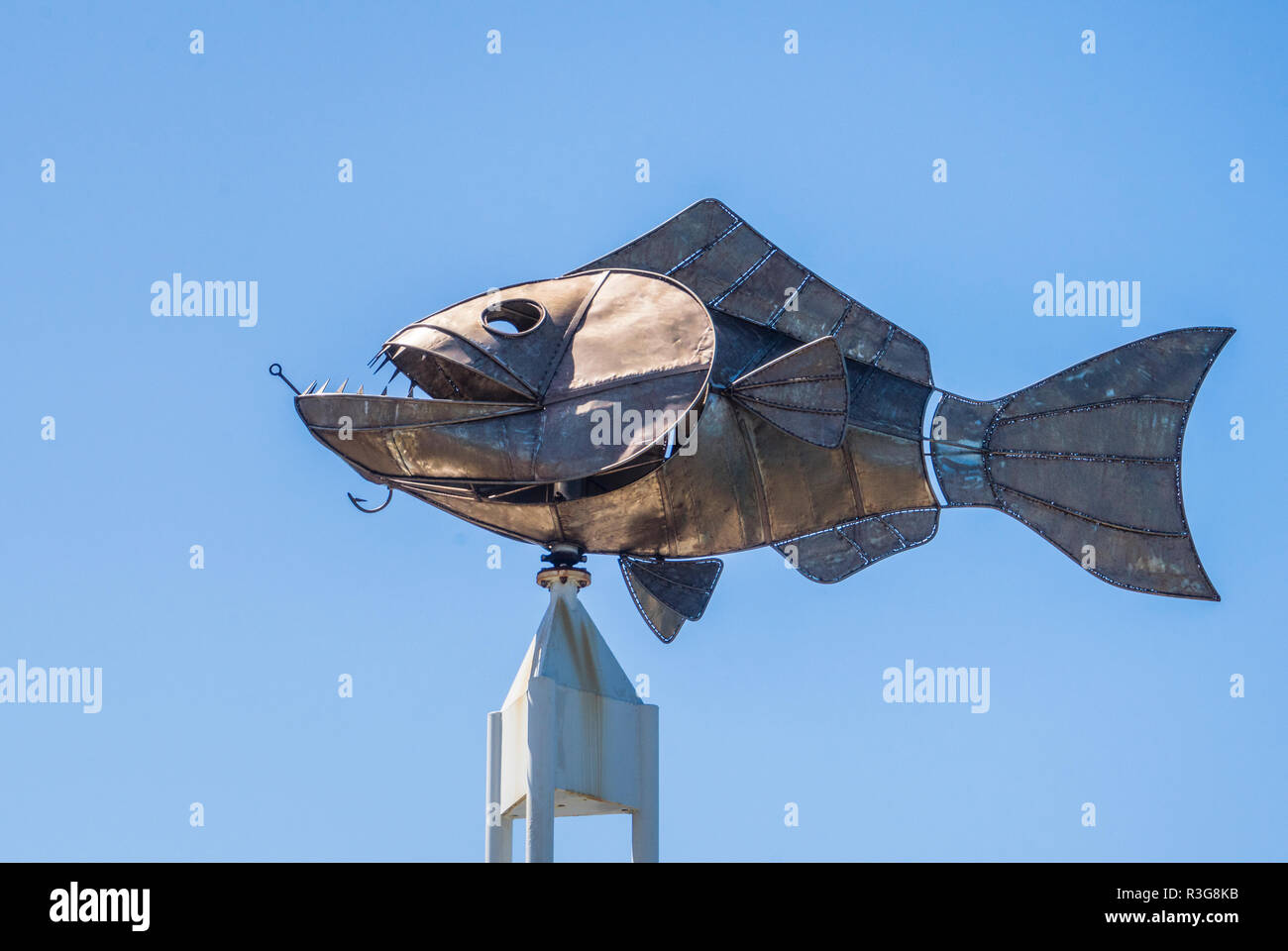 Pesce scultura in acciaio da un artista locale, Joe Strak a Ballina Riverfront a piedi, Fawcett Park, Richmond River, Ballina, nel nord della regione dei fiumi, New Sout Foto Stock