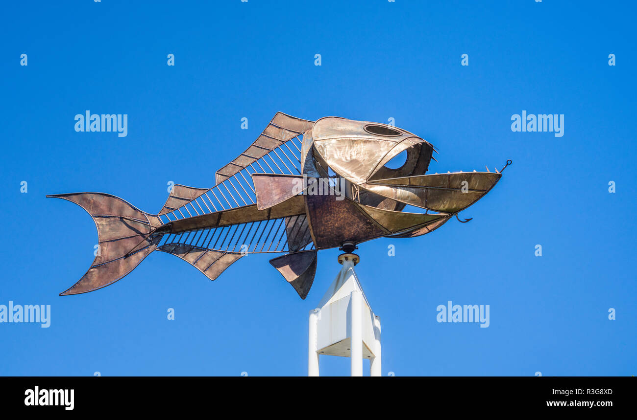Pesce scultura in acciaio da un artista locale, Joe Strak a Ballina Riverfront a piedi, Fawcett Park, Richmond River, Ballina, nel nord della regione dei fiumi, New Sout Foto Stock