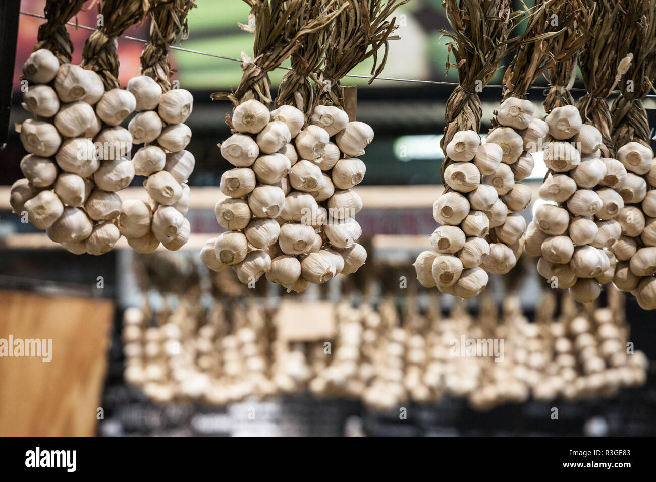 Trecce di aglio per vendere per la vendita su un mercato canadese di Montreal, in Quebec, una provincia famosa per la sua agricoltura e la sua produzione di aglio. Foto Foto Stock