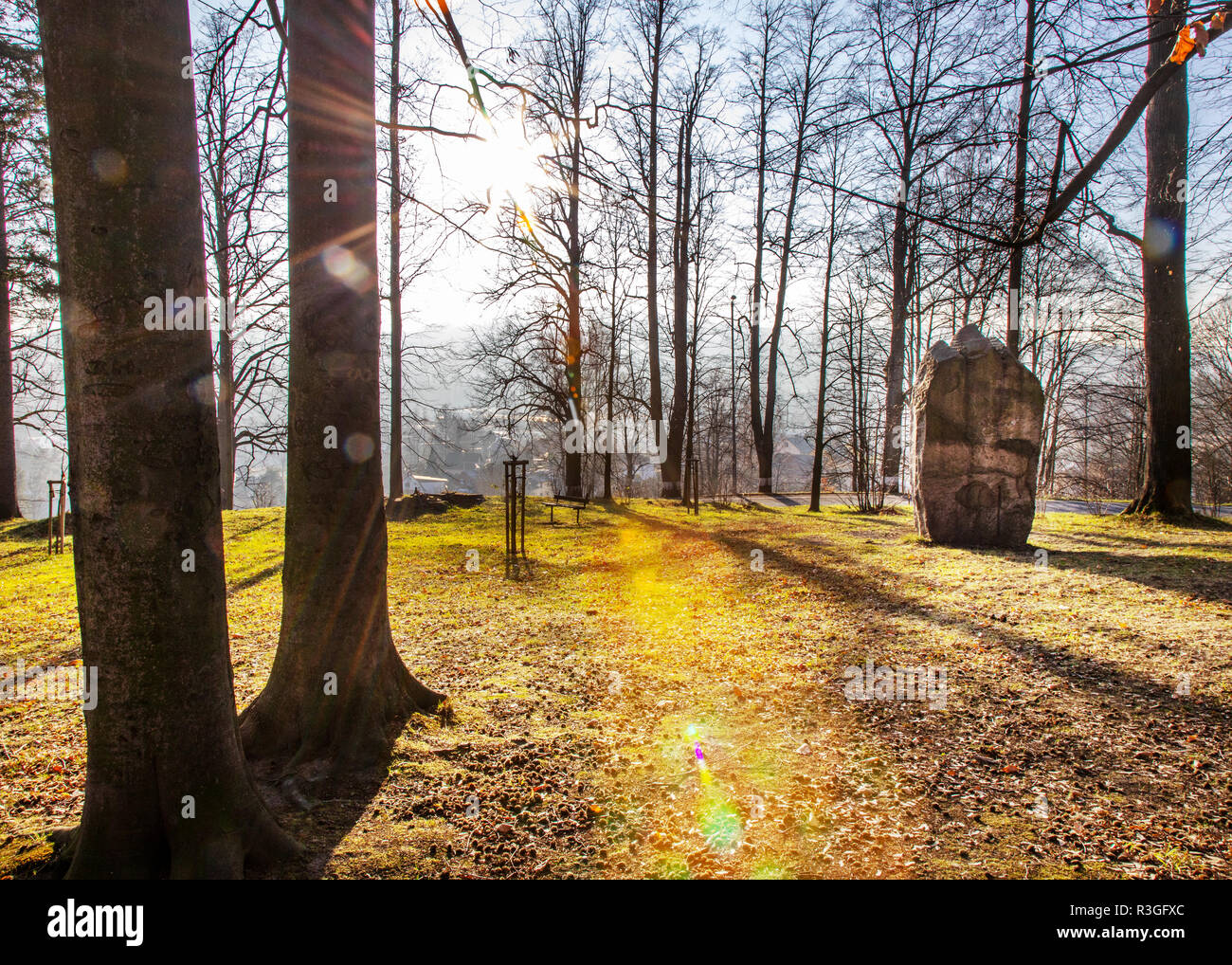 Pomník obětem čarodějnických procesů, Lázně Jeseník, Jeseníky, Česká republika / un monumento alle vittime del processo alle streghe, città termale Jeseník, Jeseniky mount Foto Stock