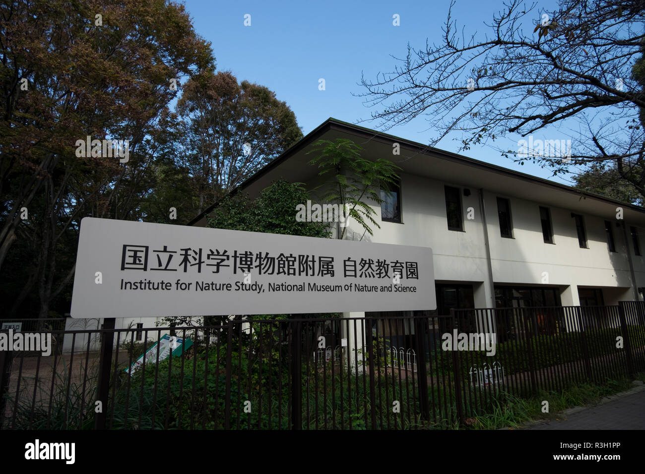 Una visita all'Istituto per lo Studio della natura di Tokyo, Giappone. E' un'oasi giardino urbano nel mezzo di Tokyo, che dimostra come la terra appare. Foto Stock