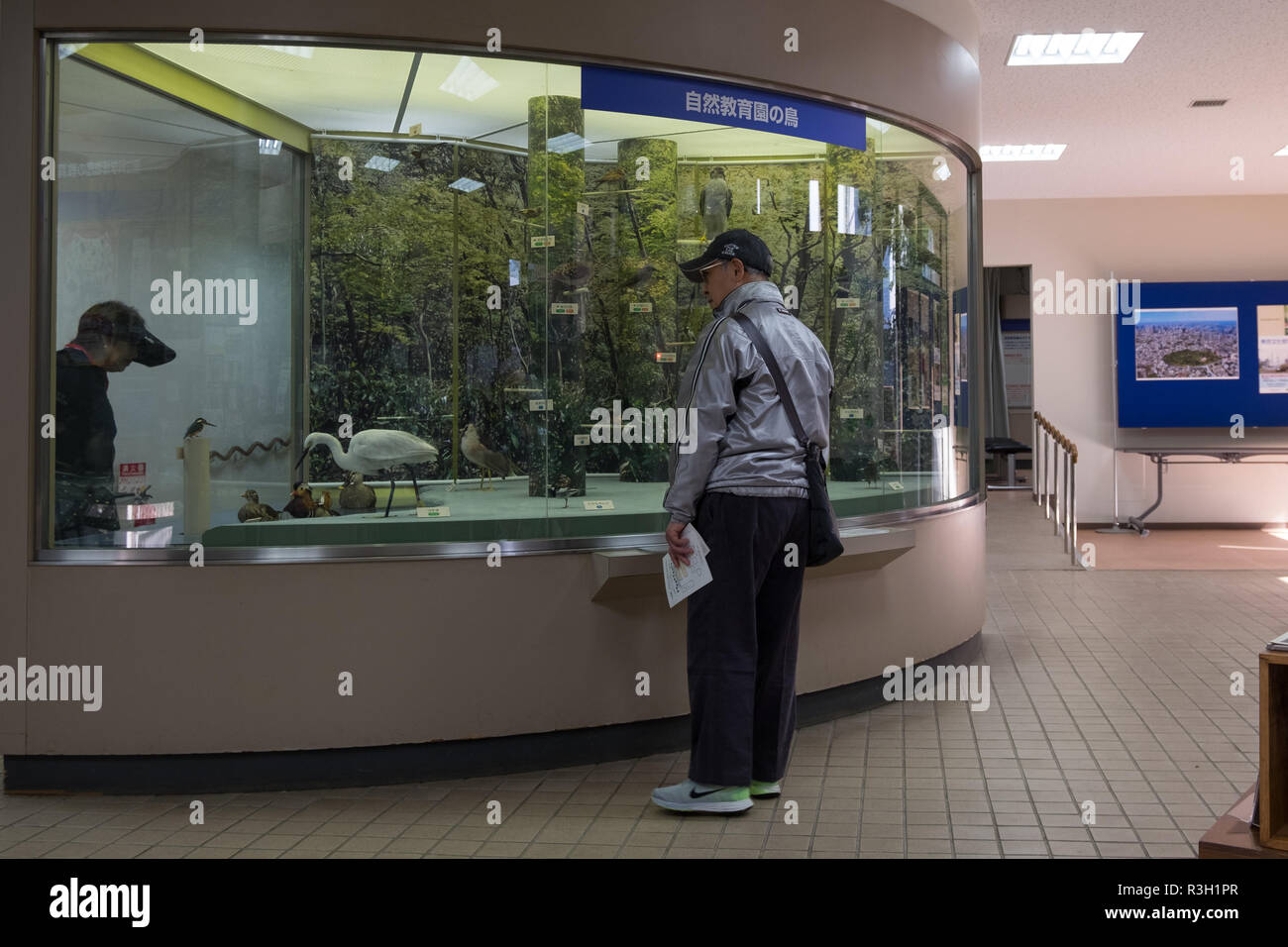 Una visita all'Istituto per lo Studio della natura di Tokyo, Giappone. E' un'oasi giardino urbano nel mezzo di Tokyo, che dimostra come la terra appare. Foto Stock