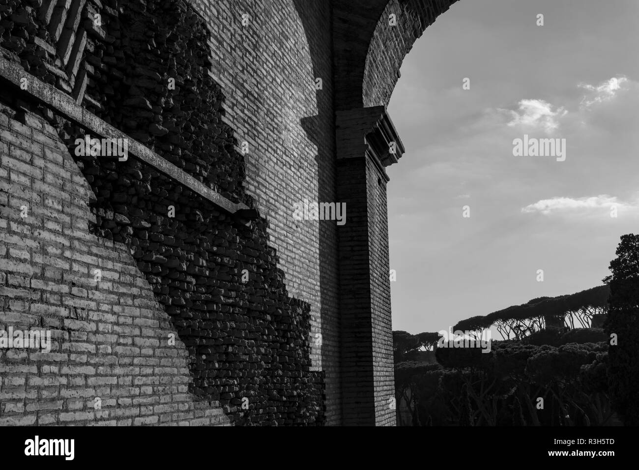 Roma, Italia. Ora d'oro presso il Colosseo (bianco e nero) Foto Stock