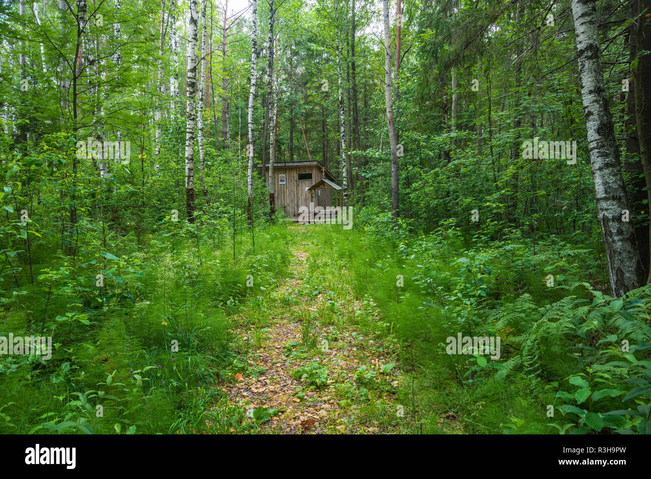 Fonte Sacra dell Icona della Madre di Dio che dà la vita sulla molla di un giorno di estate, Beklemischi village, Pestiakovsky distretto, nella regione di Ivanovo, Russia. Foto Stock