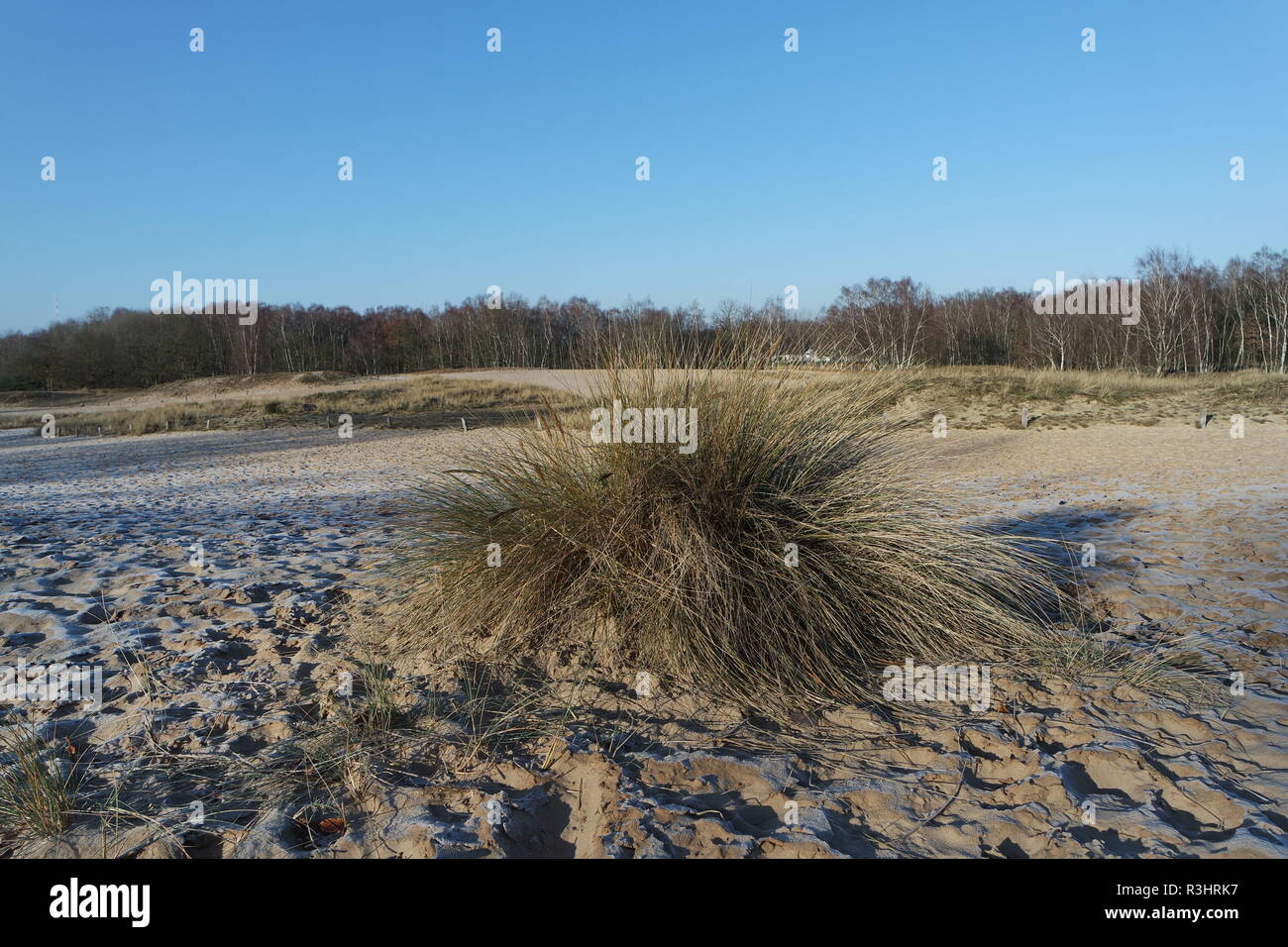 Amburgo,boberger dune in inverno Foto Stock