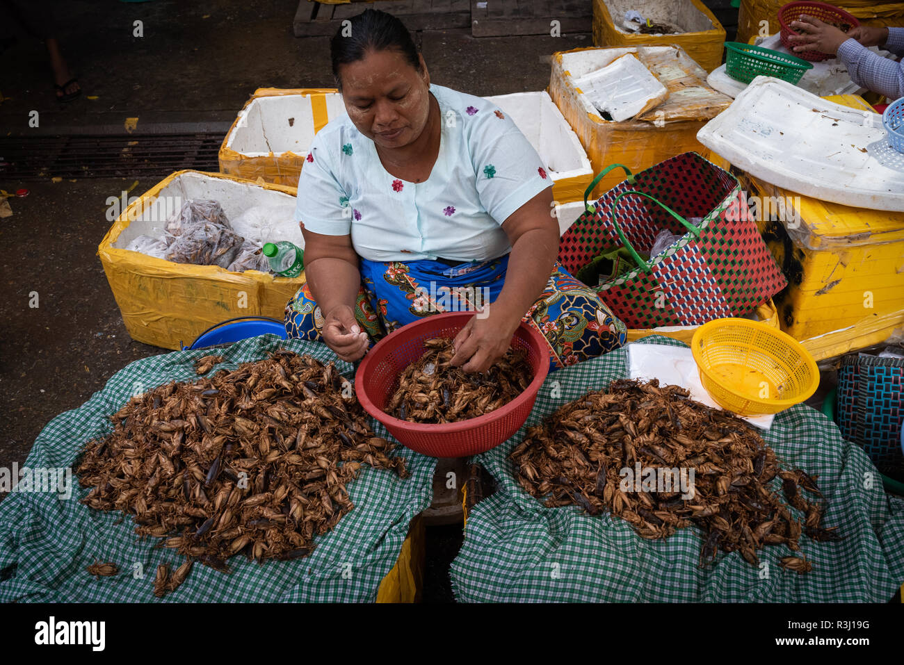Una donna gli insetti di vendita al mercato, Mandalay Myanmar. Foto Stock