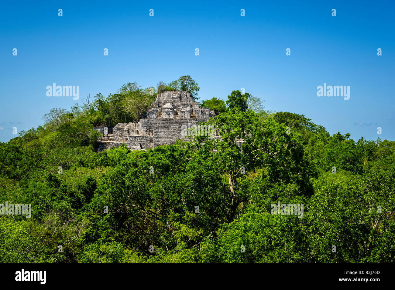 Rovine, città antica città maya di Calakmul, sito di scavo, Calakmul Riserva della Biosfera, Campeche, Messico Foto Stock