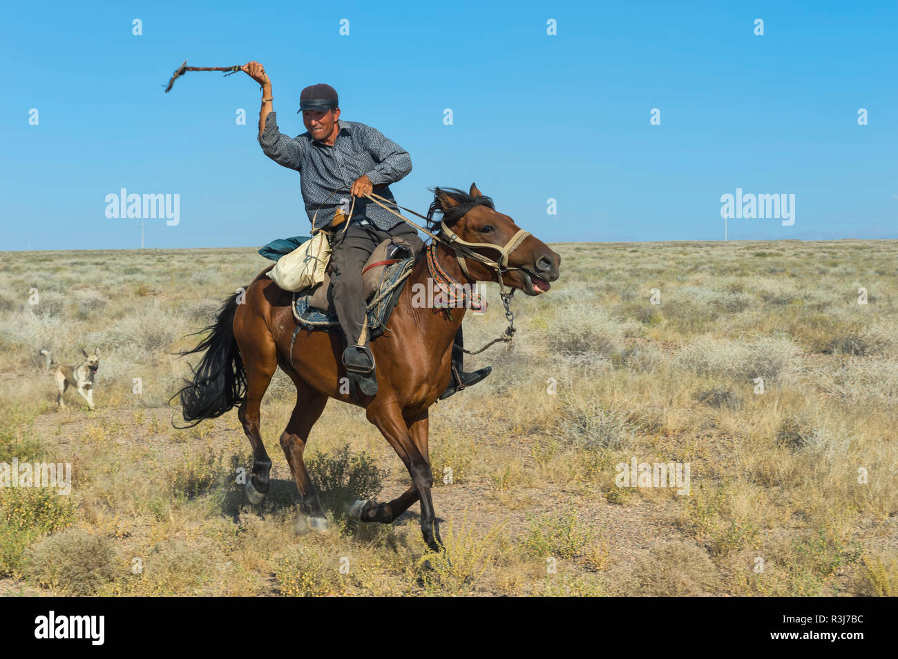 Pecore Herder con horsewhip, Tien Shan montagne, Kazakistan Foto Stock