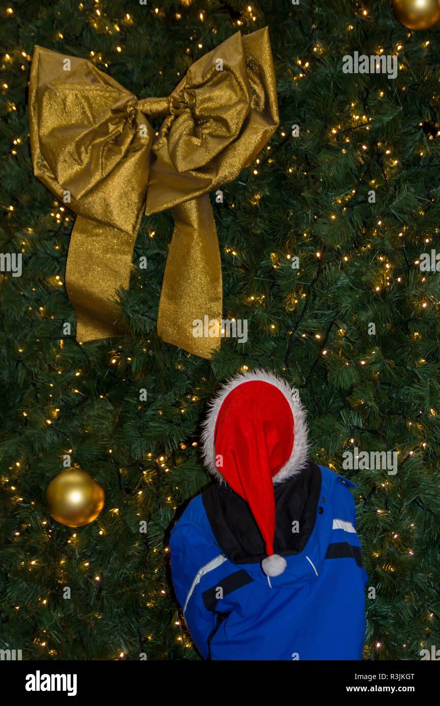 Bambino stupito di fronte a un albero di natale Foto Stock