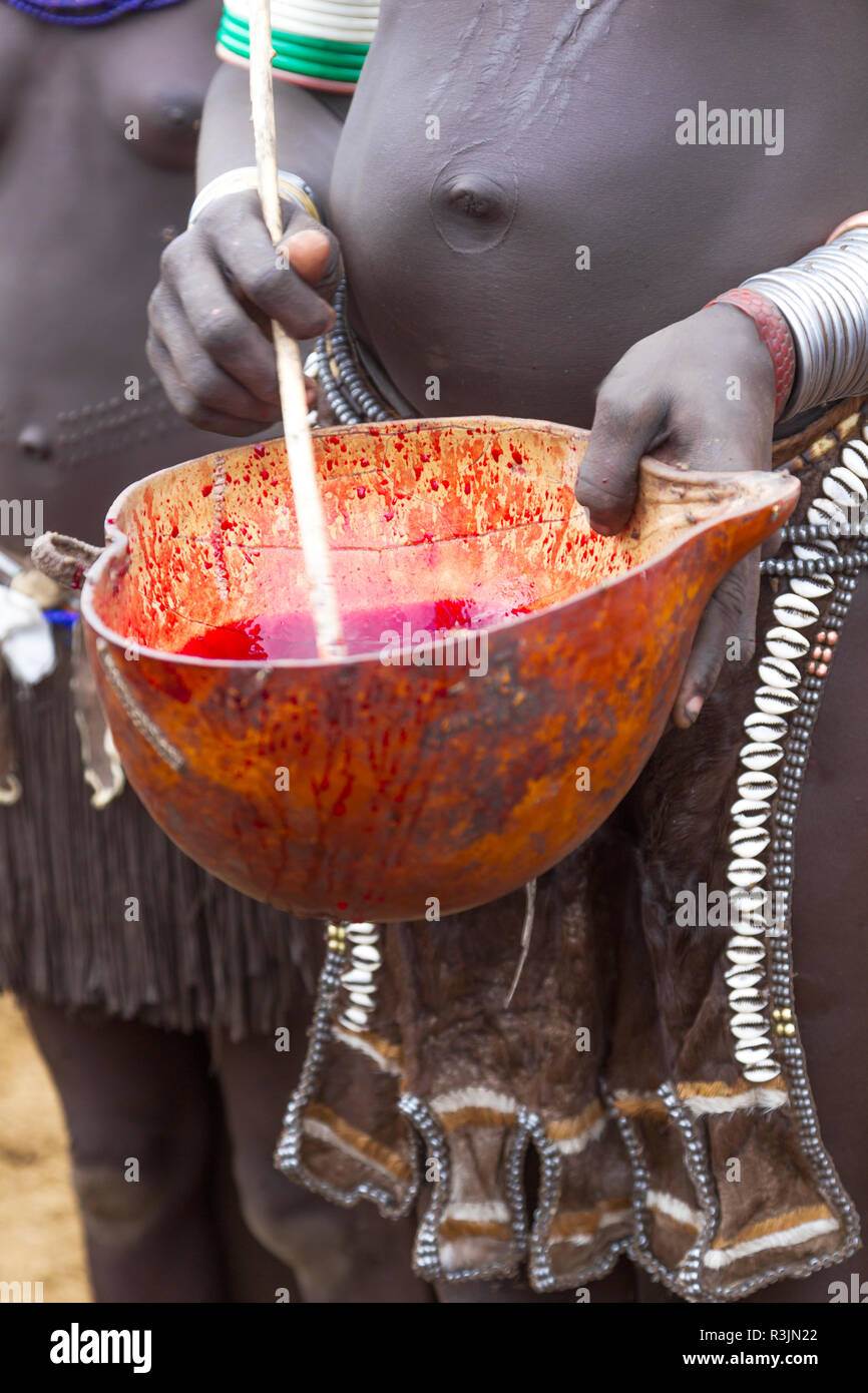 Africa, Etiopia, sud della valle dell'Omo, Nyangatom tribù. Il sangue nel calabash è agitata per rimuovere il coagulo. Foto Stock