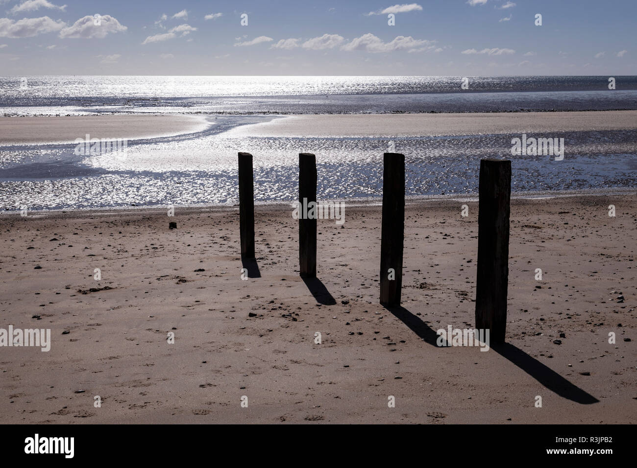 Pennelli in legno sulla spiaggia a Youghal, County Cork, Irlanda Foto Stock