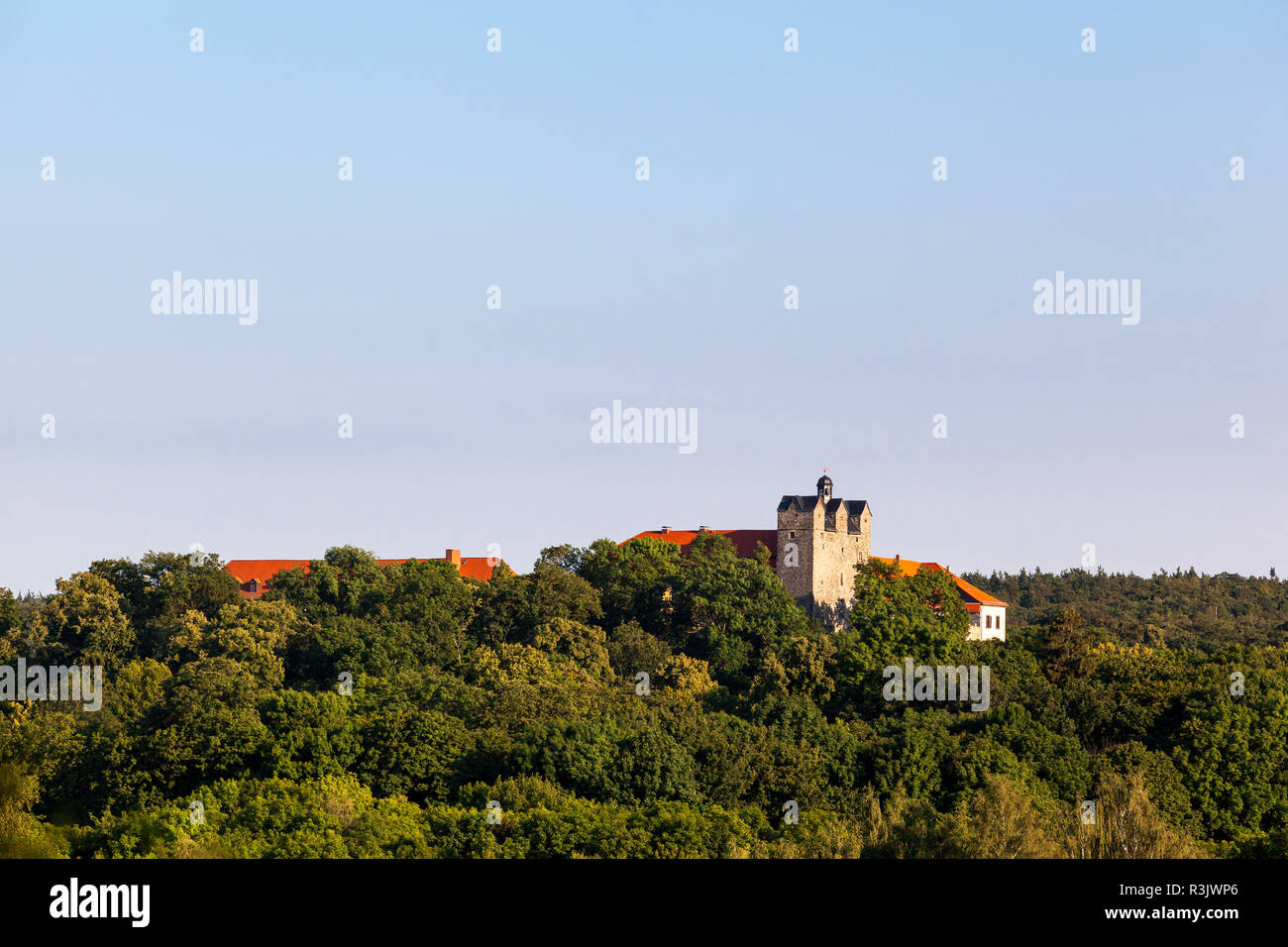 Affacciato sul castello ballenstedt Foto Stock