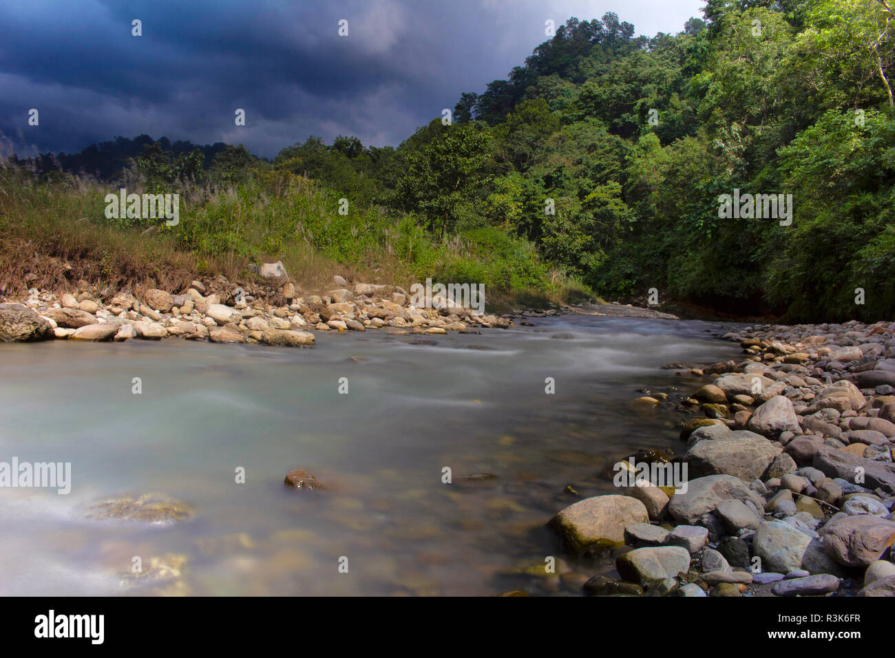 Fiume Khichdi, Corbett Riserva della Tigre, Uttarakhand , India. Foto Stock