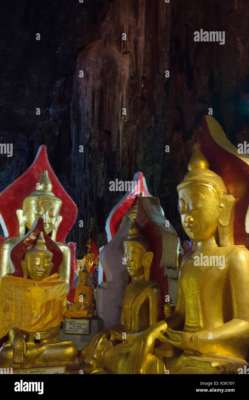 Statue buddiste all'interno della grotta di Pindaya, Stato Shan, Myanmar Foto Stock