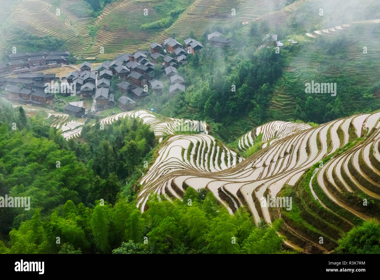 Riempito di acqua terrazze di riso nella nebbia di mattina in montagna, Dazhai, provincia di Guangxi, Cina Foto Stock