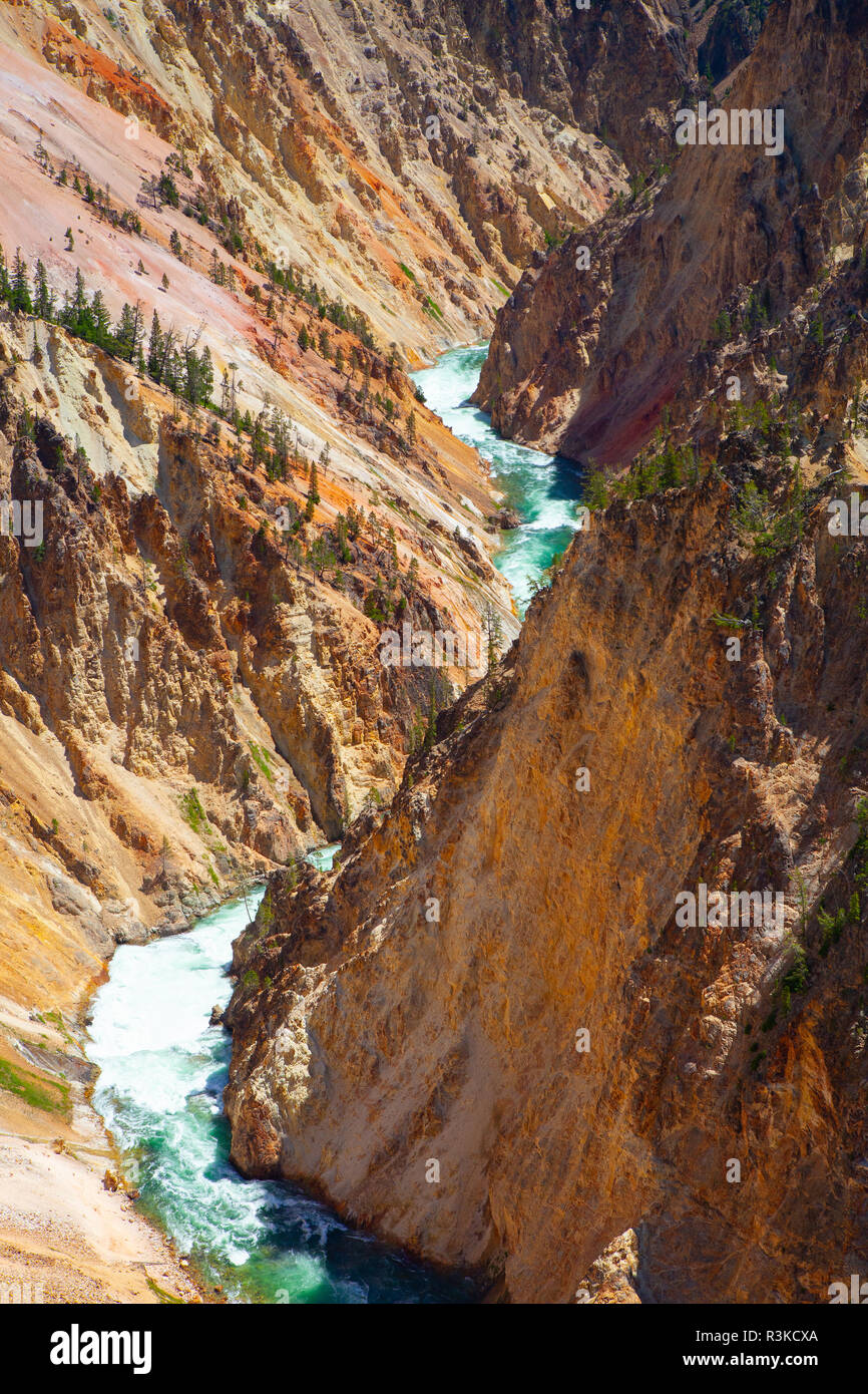 Le cascate Inferiori di Yellowstone River. Il più popolare la cascata nel Parco Nazionale di Yellowstone, Wyoming USA Foto Stock